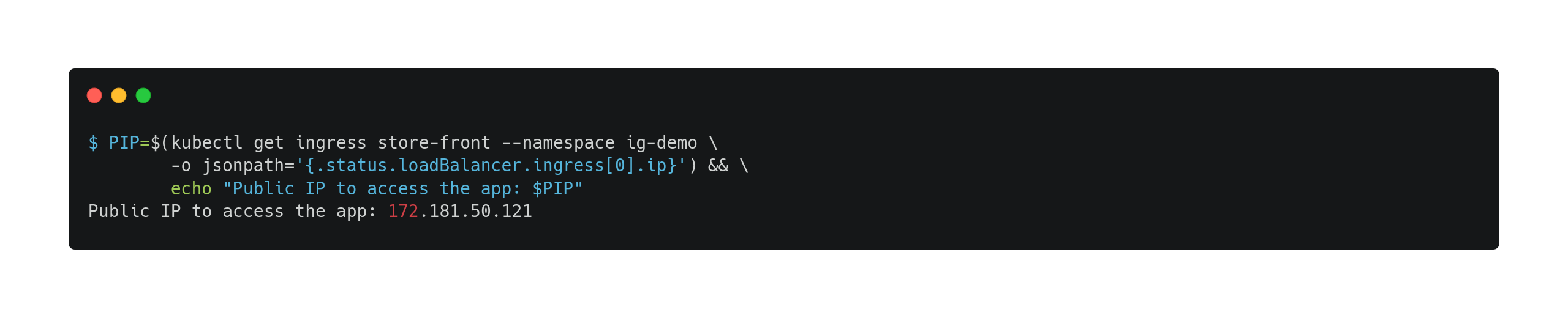 Getting public IP address for accessing the application